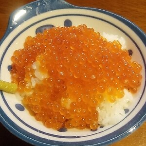 いくらごはん